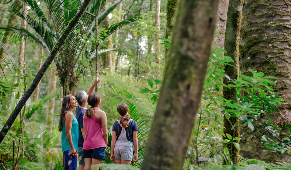 Home page banner (22)